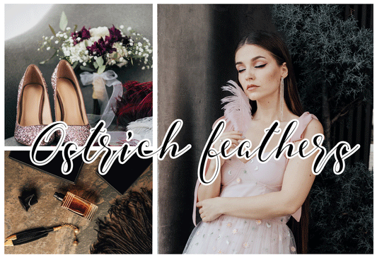 Elegance in Flight: Ostrich Feathers