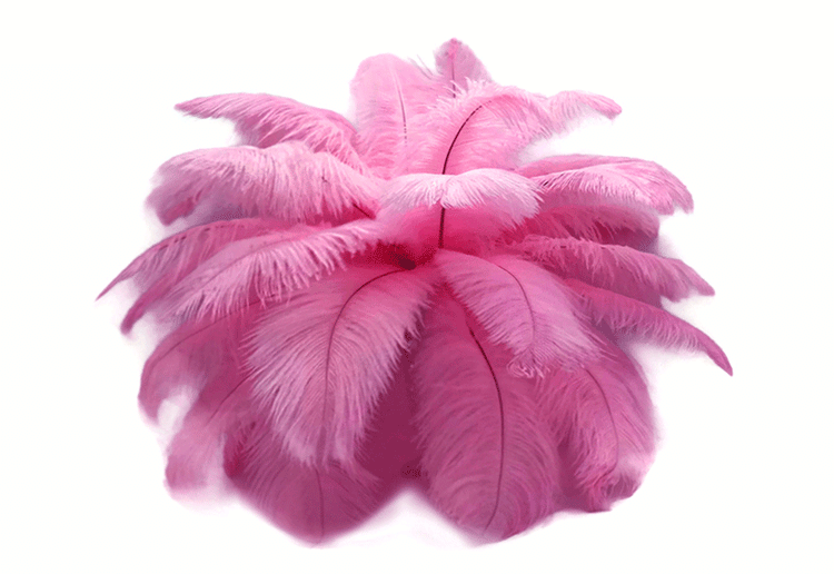 Bulk Ostrich Drabs