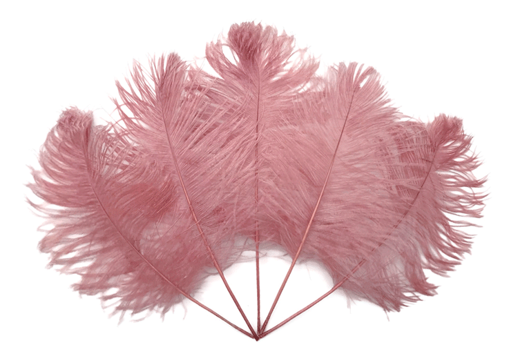 Bulk Ostrich Tail Feathers
