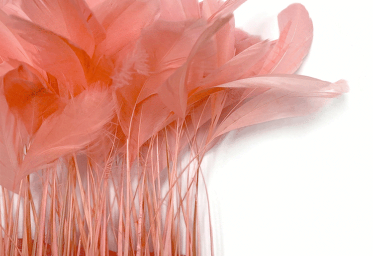 STRIPPED FEATHERS