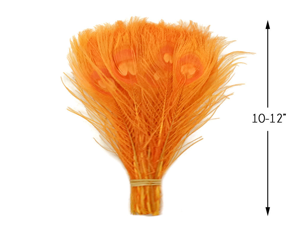 5 Pieces – Orange Bleached & Dyed Peacock Tail Eye Feathers 10-12” Long