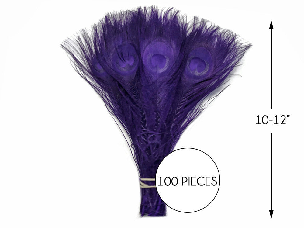 100 Pieces – Eggplant Bleached & Dyed Peacock Tail Eye Wholesale Feathers (Bulk) 10-12” Long