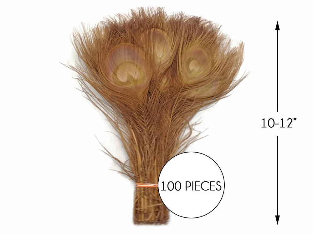 Bundle of 100 brown pheasant feathers for crafts, 10-12 inches long.