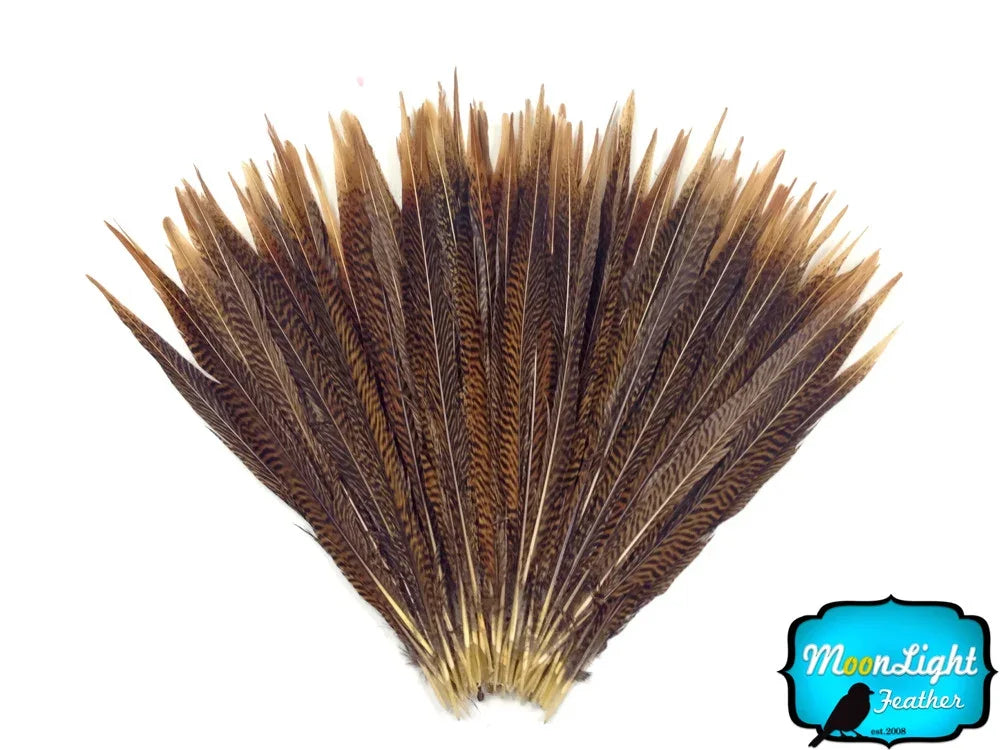 Fan of brown patterned feathers for crafts and fashion DIY supplies.