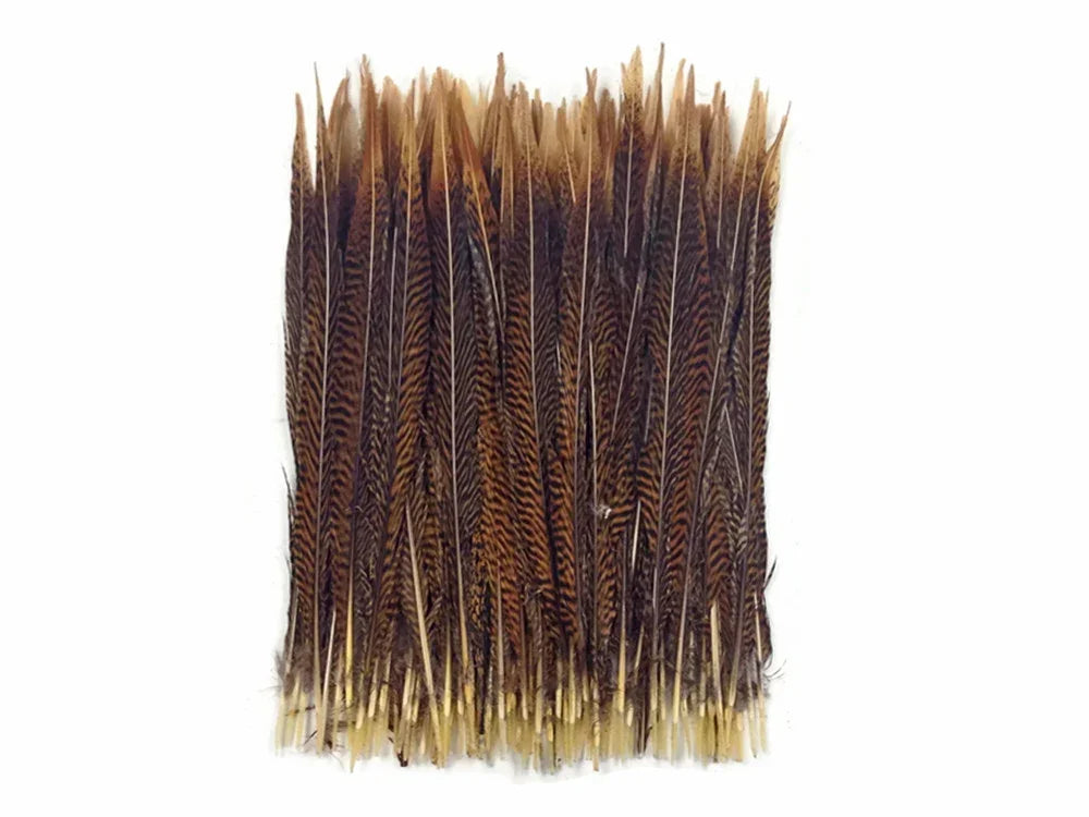 Bundle of natural brown patterned feathers for DIY crafts and fashion decor.