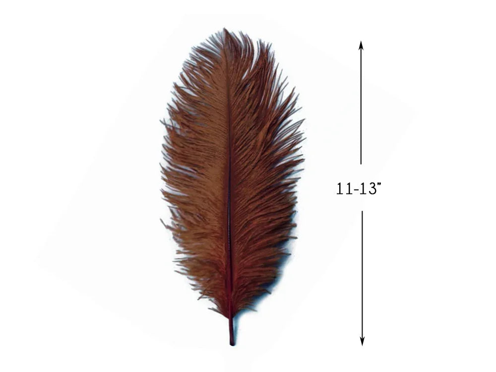 Brown decorative craft feather, 11-13 inches long for DIY fashion and decor.