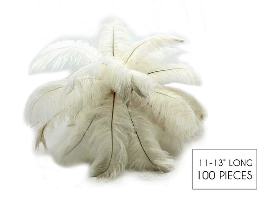 100 Pieces - 11-13" Off White Ostrich Drabs Wholesale Body Feathers (Bulk)