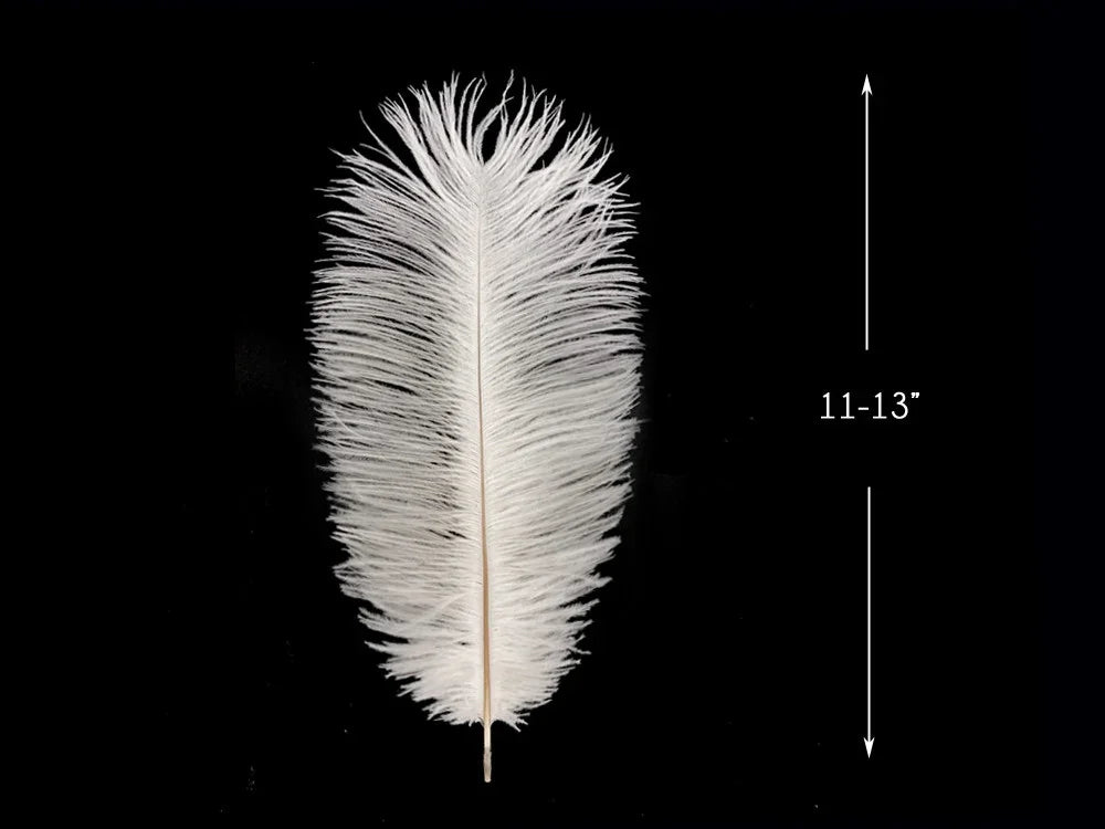 Large white ostrich feather for crafts and fashion decor, 11-13 inches long.
