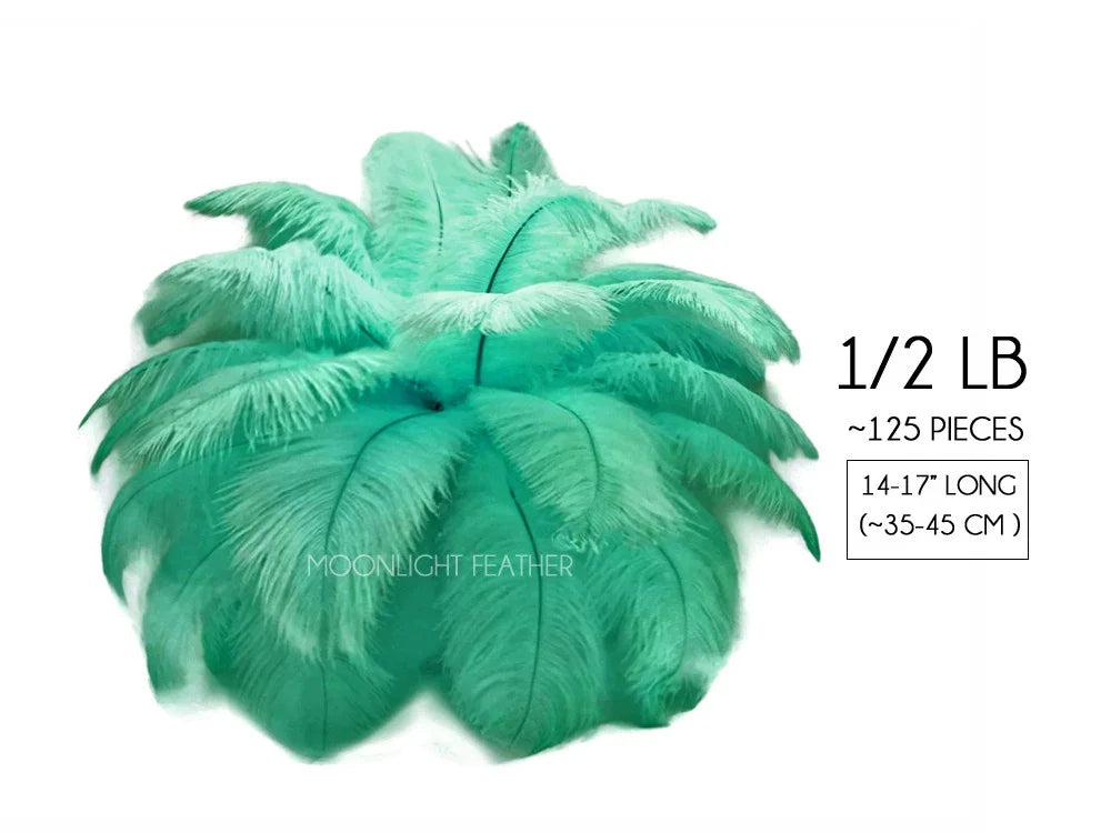 Large mint green ostrich feathers for crafts and fashion decor, 14-17 inches long.