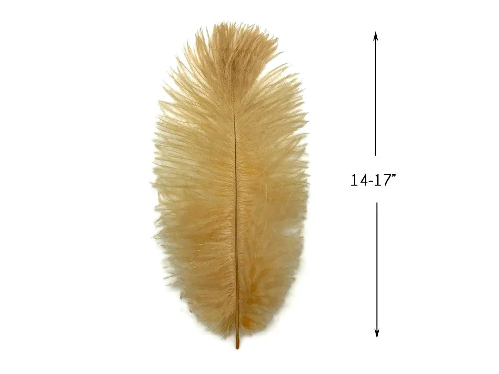 Large beige ostrich feather for crafts and decor, 14-17 inches in length.