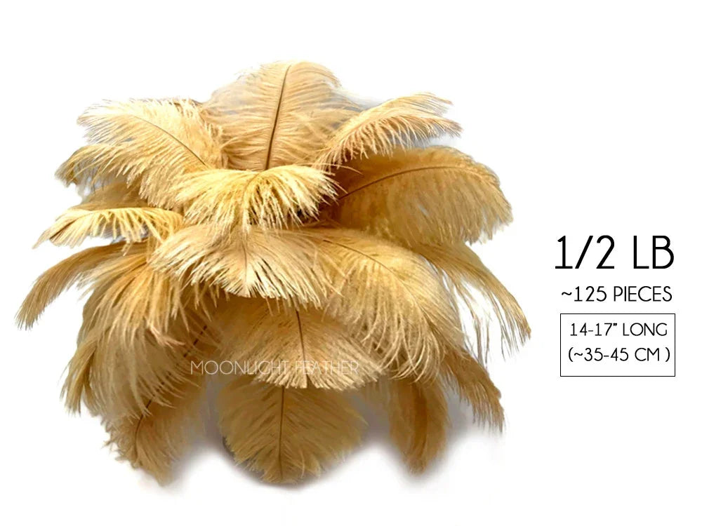 Bundle of 125 beige ostrich feathers for DIY crafts and fashion decor, 14-17 inches long.