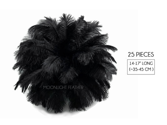 25 Pieces - 14-17" Black Ostrich Drab Centerpiece Feathers Sets