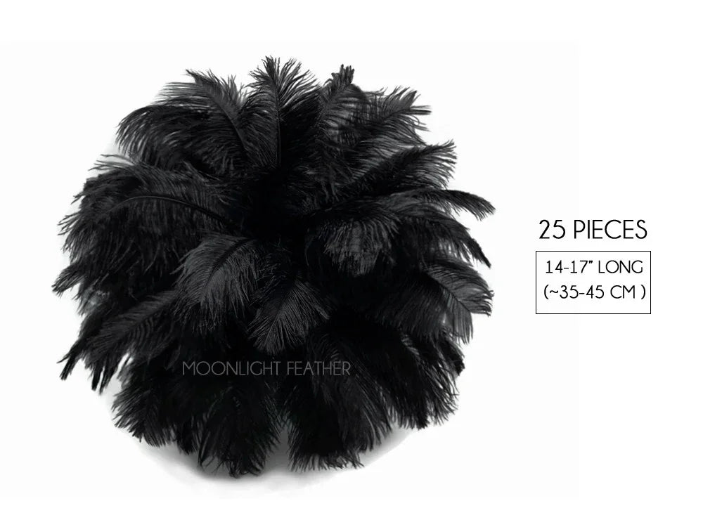 25 pieces of 14-17 inch long black ostrich feathers for crafts and fashion decor.