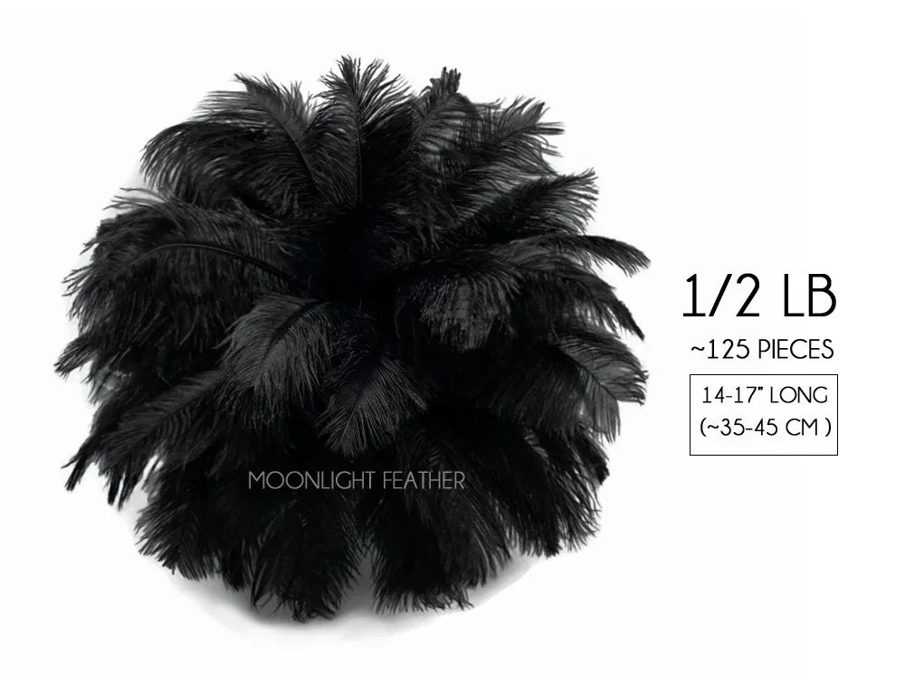 1/2 lb of black ostrich feathers, approximately 125 pieces, 14-17 inches long.
