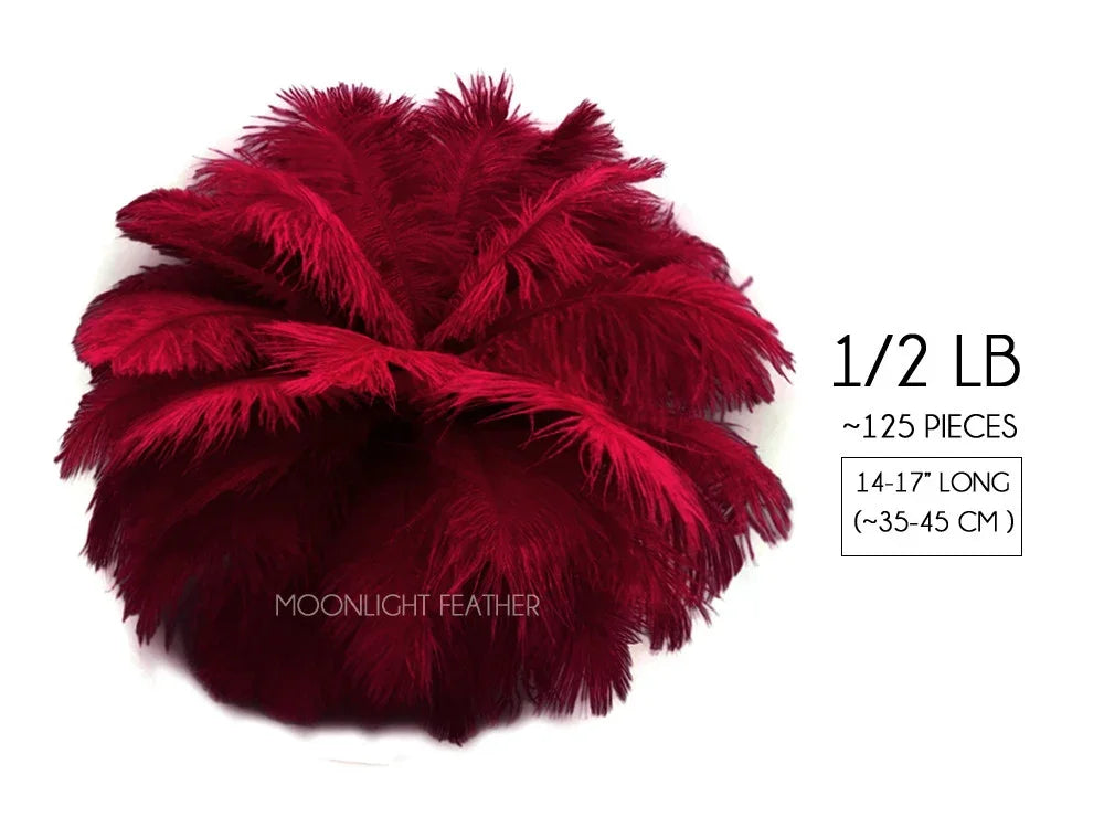 Bundle of 125 red ostrich feathers for crafts and fashion decor, 14-17 inches long.