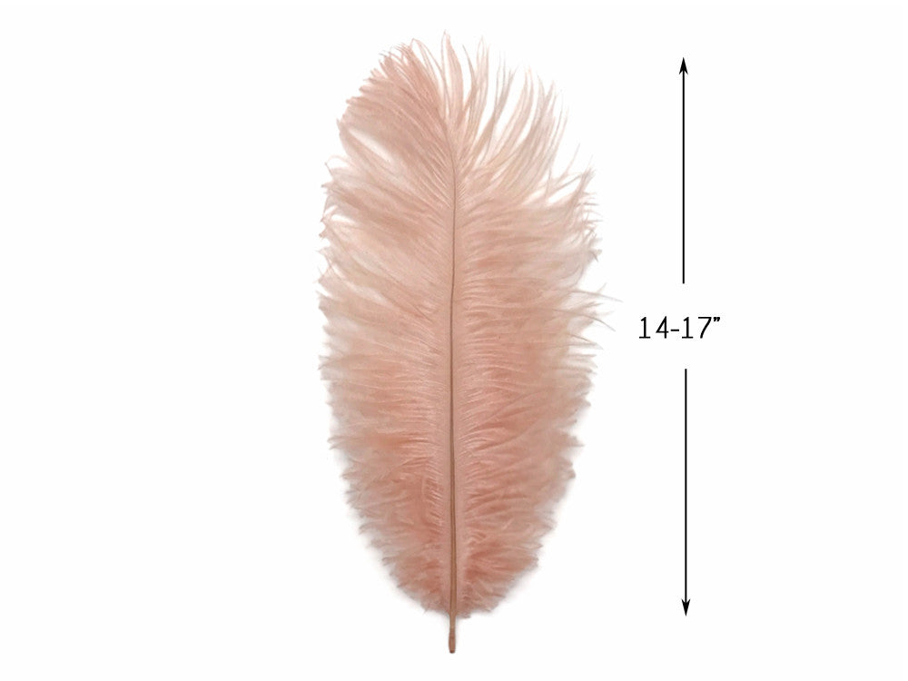 10 Pieces - 14-17" Champagne Ostrich Dyed Drab Large Body Feathers
