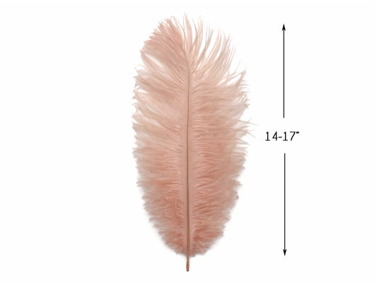 10 Pieces - 14-17" Champagne Ostrich Dyed Drab Large Body Feathers