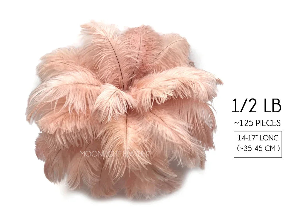 Half pound of soft pink ostrich feathers for DIY crafts and fashion decor.