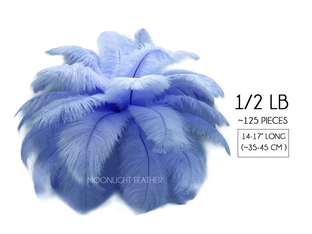 Bundle of 125 light blue ostrich feathers, 14-17 inches long, for crafts and fashion decor.