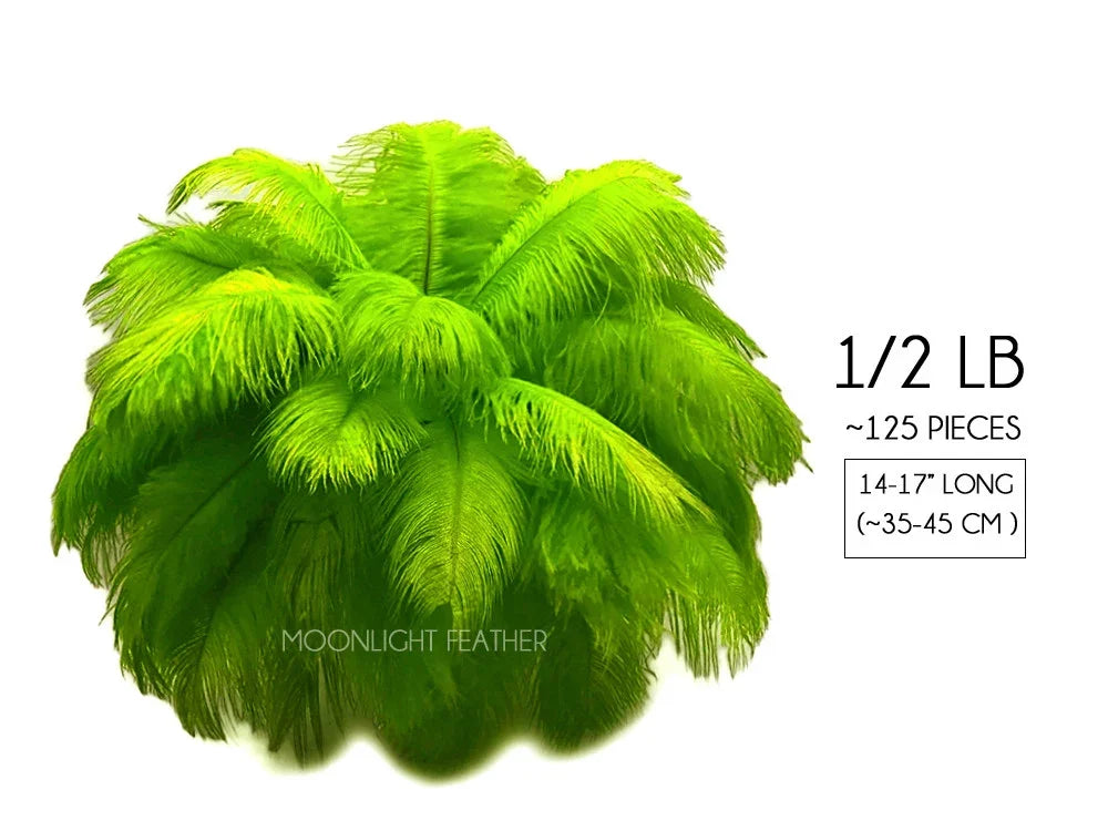 Vibrant lime green ostrich feathers for crafts and decor, 125 pieces, 14-17 inches long.