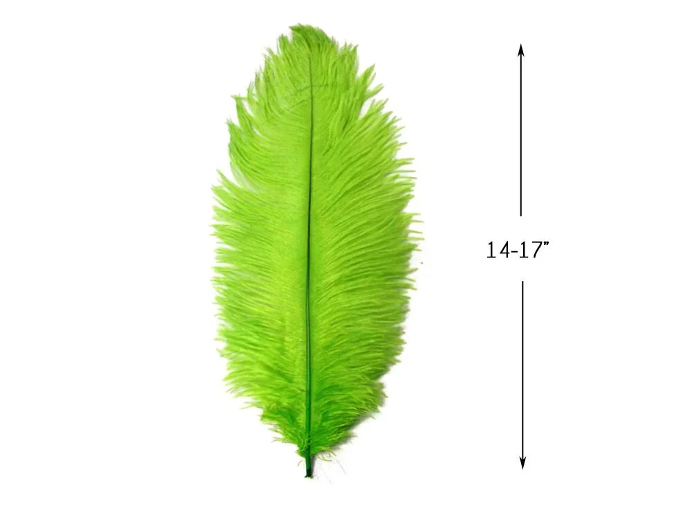 Vibrant lime green ostrich feather for crafts and fashion, 14-17 inches long.
