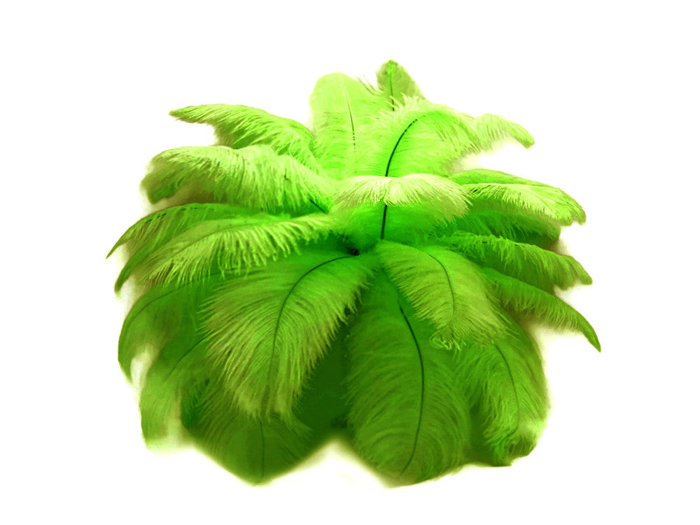 10 Pieces - 17-19" Lime Green Large Bleached & Dyed Ostrich Drabs Body Feathers