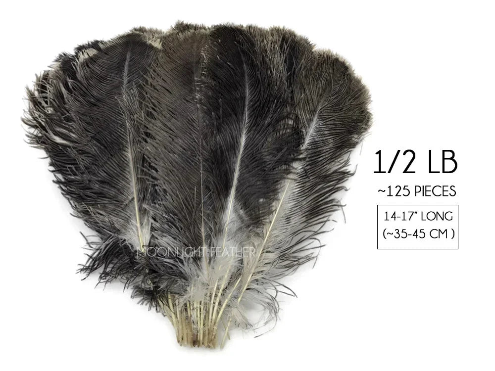 Large bundle of 125 black ostrich feathers, 14-17 inches long for DIY crafts and decor.