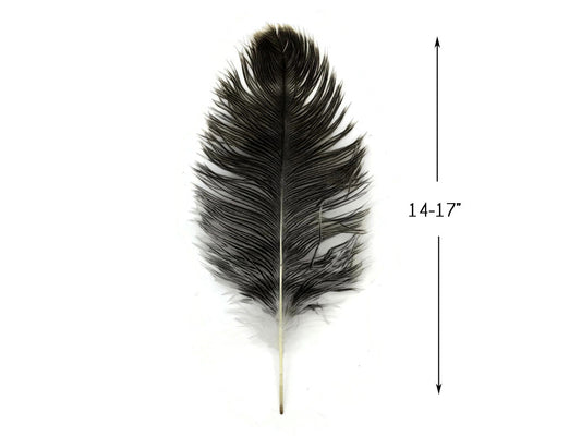 10 Pieces - 14-17" Natural Chinchilla Brown Ostrich Dyed Drab Body Feathers