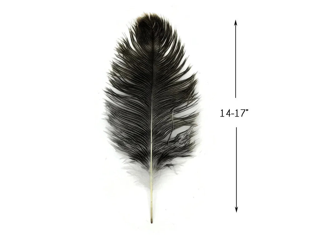 Large black ostrich feather for crafts and fashion, 14-17 inches long.