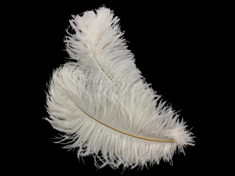 Two fluffy white ostrich feathers for crafts and fashion decor on a black background.