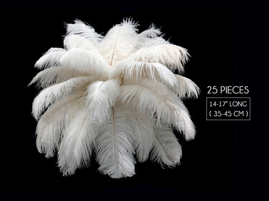 25 Pieces - 14-17" Off White Ostrich Drab Centerpiece Feathers Sets