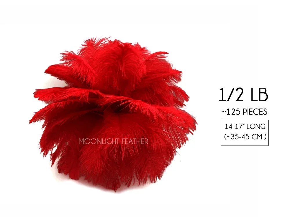 Bundle of 125 vibrant red craft feathers, 14-17 inches long, for DIY fashion and decor.