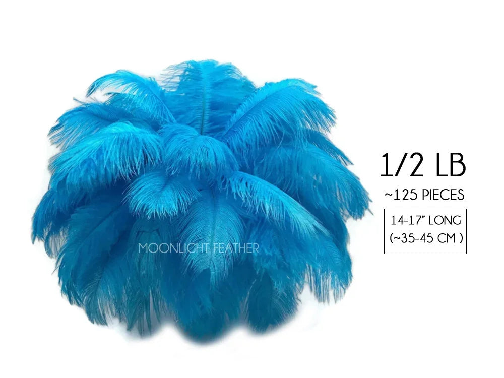 Bulk pack of 125 bright blue ostrich feathers, 14-17 inches long, for crafts and fashion.