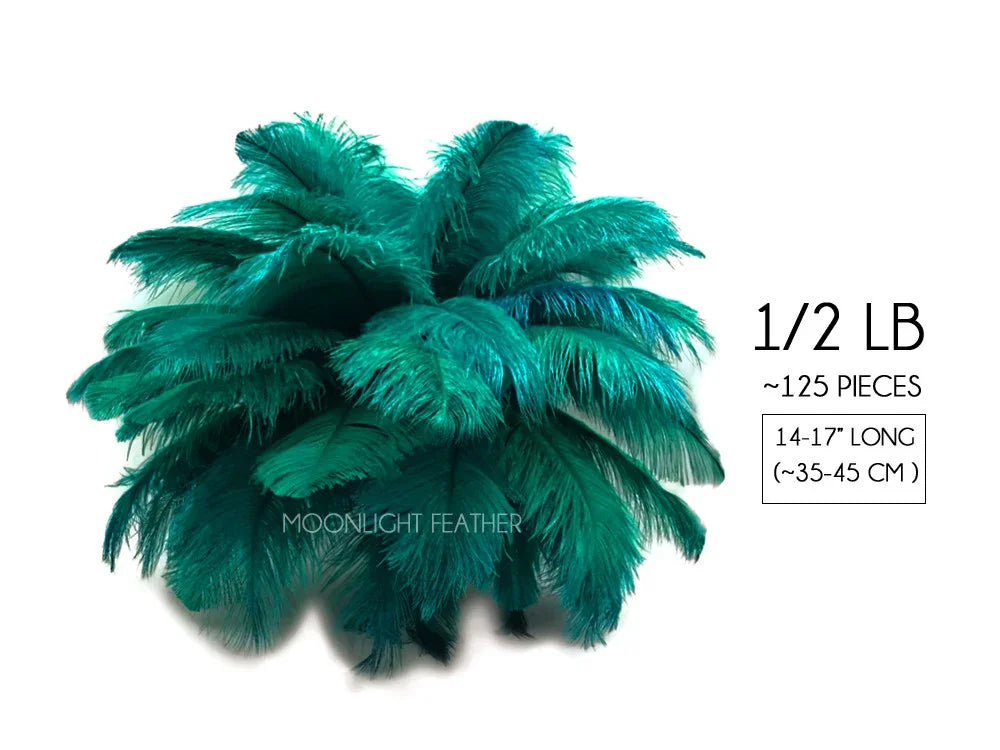 Teal green ostrich feathers bundle, 1/2 lb with approximately 125 pieces, 14-17 inches long.
