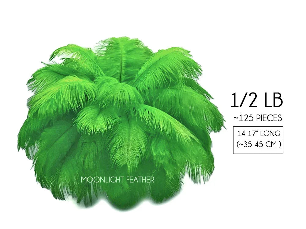 Vibrant green ostrich feathers for crafts and decor, approximately 125 pieces.