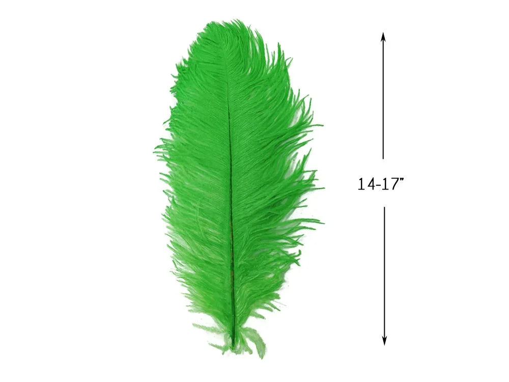 Vibrant green ostrich feather for crafts and fashion, 14-17 inches long.