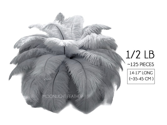 1/2 lb. - 14-17" Silver Gray Ostrich Large Body Drab Wholesale Feathers (Bulk)