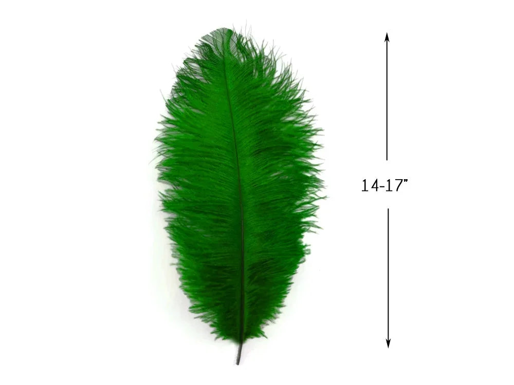 Vibrant green ostrich feather for crafts and fashion, 14-17 inches long.