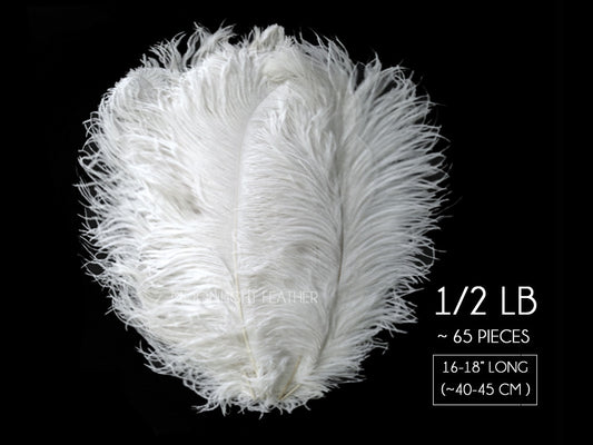 1/2 lb. - 16-18" White Grade #1 Large Ostrich Wing Plumes Wholesale Feather (Bulk)