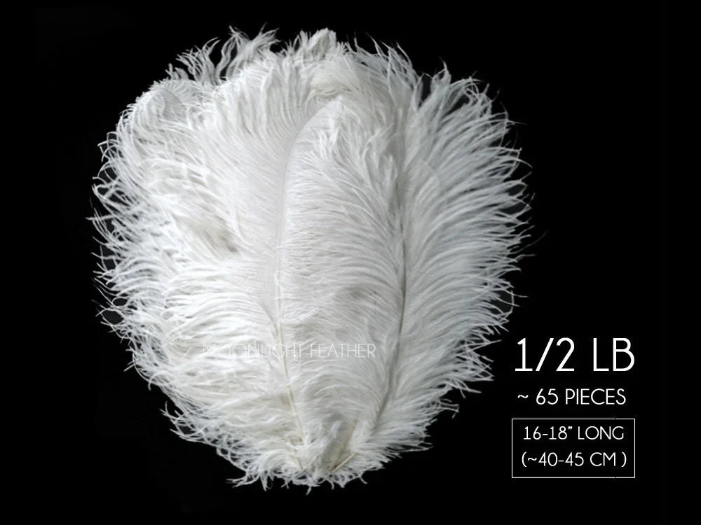Bundle of 65 white ostrich feathers for crafts and fashion decor, 16-18 inches long.