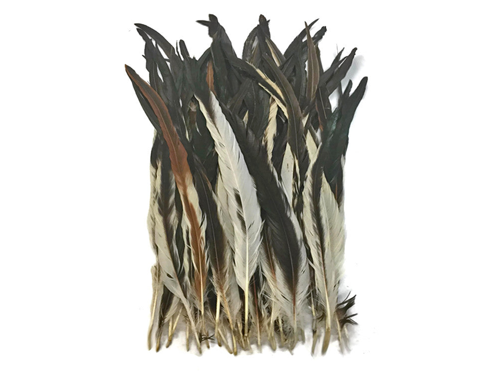 10 Feathers - 16-18" Natural Brown Mix Coque Tail Strung Feathers