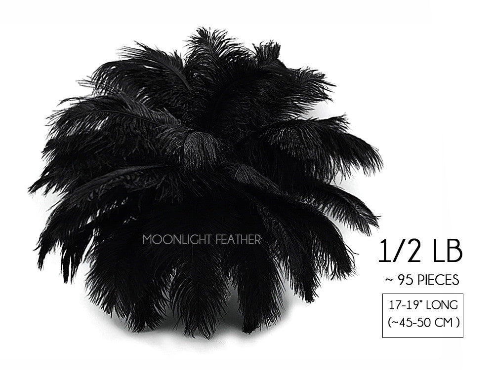 1/2 Lb - 17-19" Black Ostrich Large Drab Wholesale Feathers (Bulk)