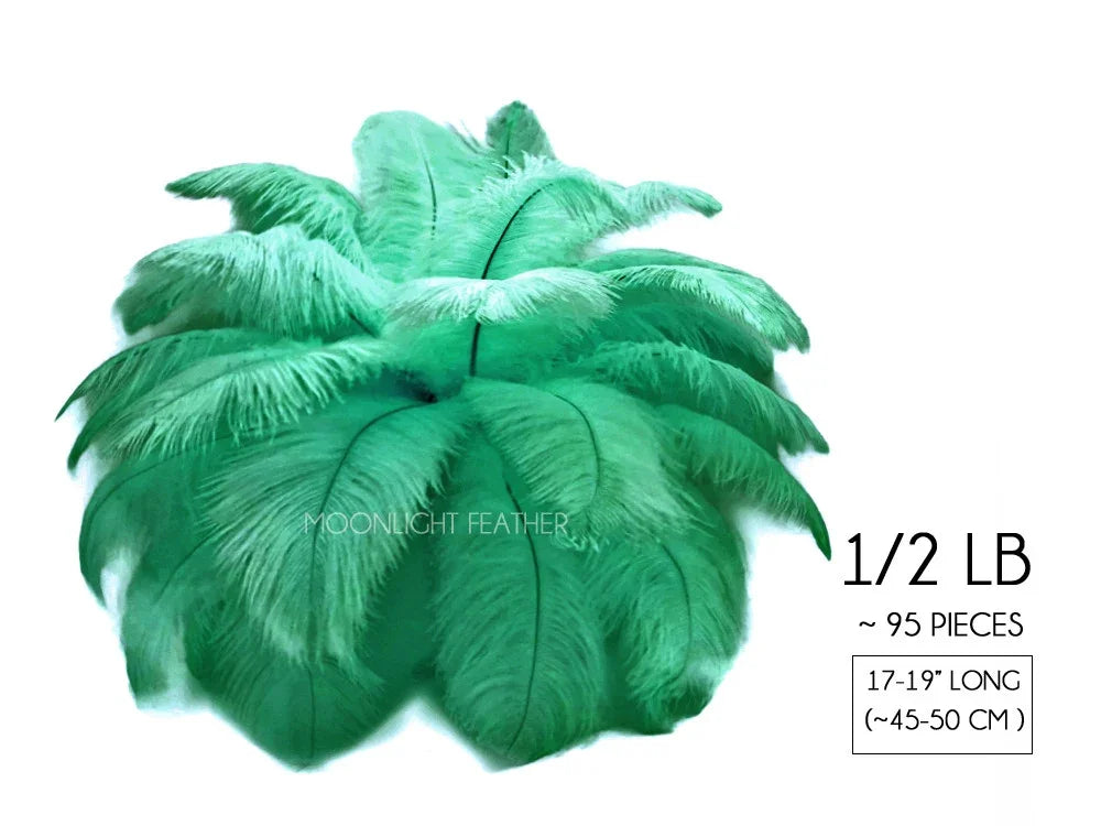 Green ostrich feathers for crafts and fashion decor, 17-19 inches long, 95 pieces pack.
