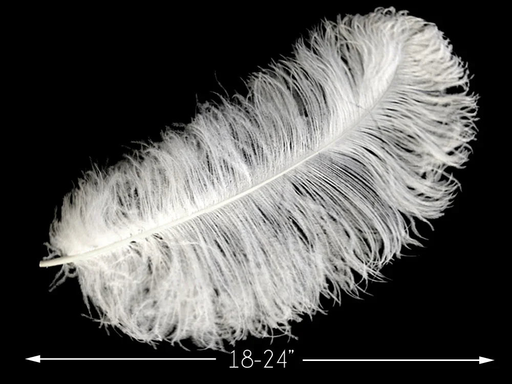 Large white ostrich feather for crafts and DIY decor, 18-24 inches long.