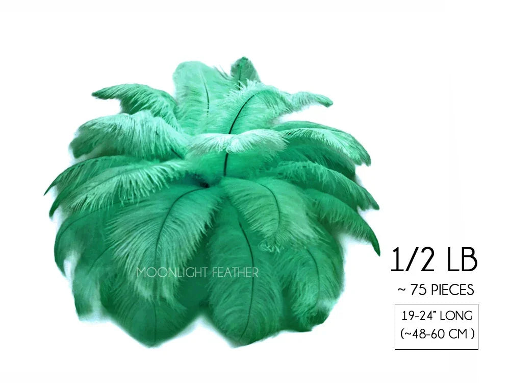 Set of 75 vibrant green ostrich feathers for crafts and fashion decor, 19-24 inches long.
