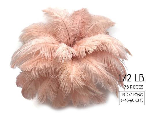 1/2 Lb. - 19-24" Champagne Ostrich Extra Long Drab Wholesale Feathers (Bulk)