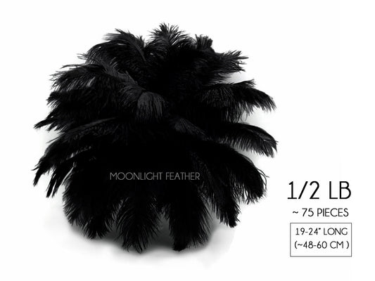 1/2 Lb. - 19-24" Black Ostrich Extra Long Drab Wholesale Feathers (Bulk)