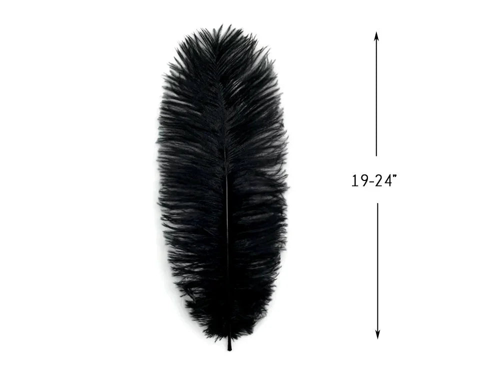 Large black ostrich feather for crafts and fashion decor, 19-24 inches long.