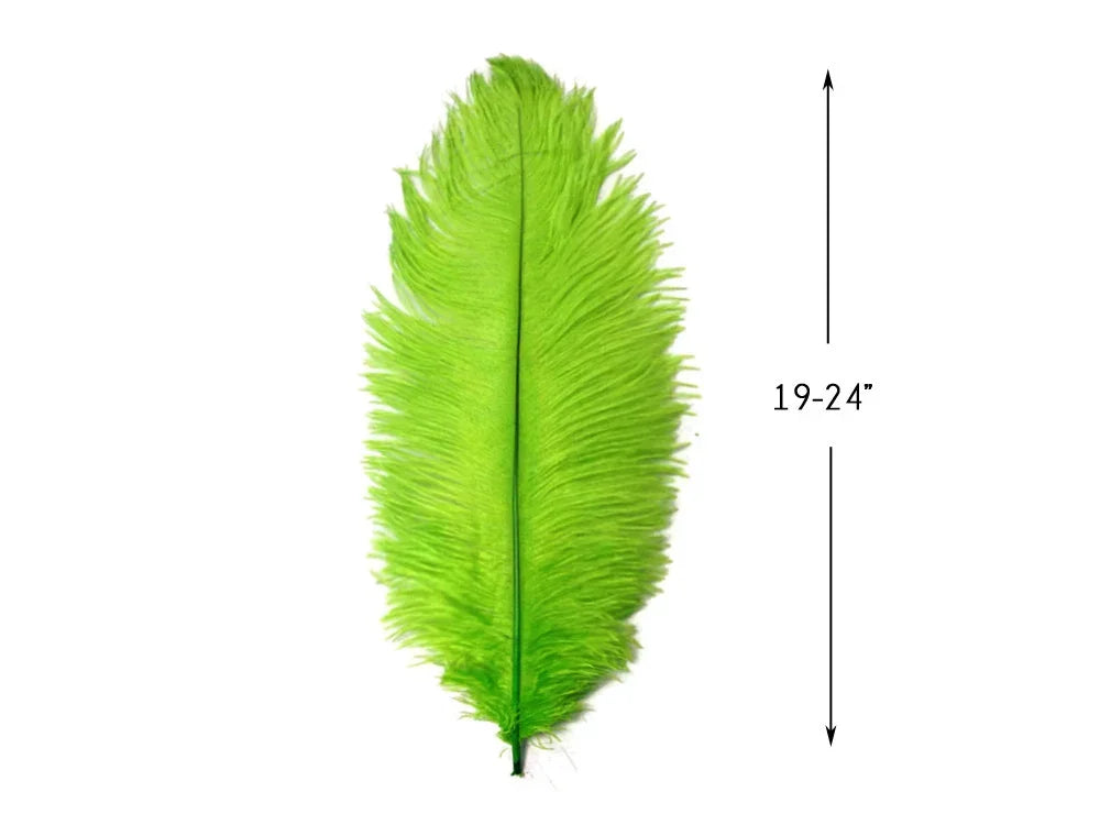 Vibrant lime green ostrich feather, 19-24 inches long, for crafts and fashion décor.
