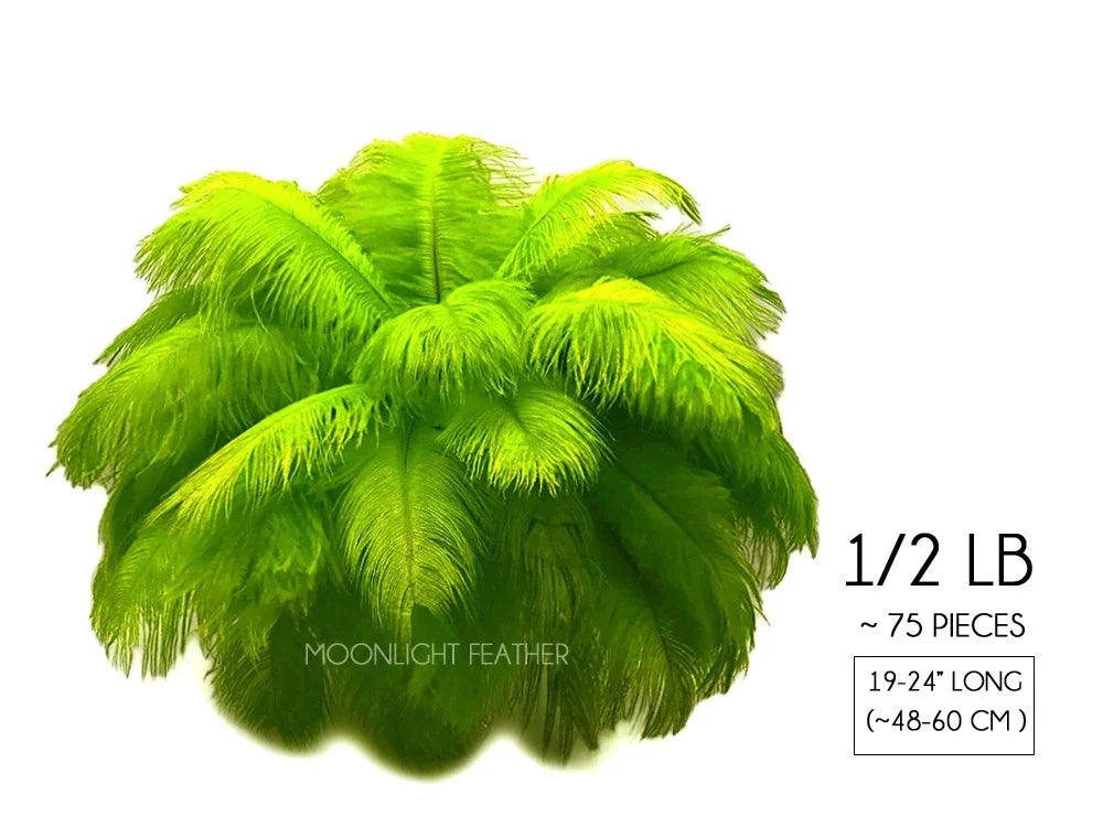 Vibrant lime green ostrich feathers for DIY crafts and fashion decor, 19-24 inches long.